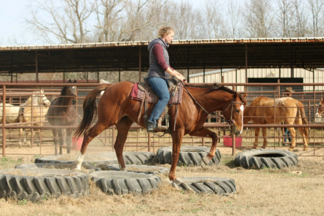 HorseID: 2308329 Jackiegirl - PhotoID: 1092464