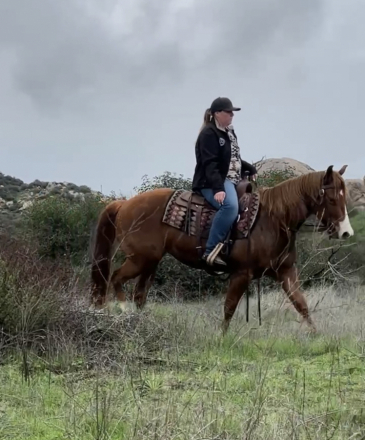 HorseID: 2308337 3 year old quater horse mare - PhotoID: 1092470