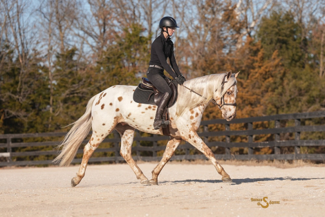 HorseID: 2308349 Einstein - PhotoID: 1092482