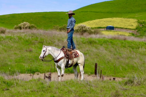 HorseID: 2308352 Apache LHR - PhotoID: 1092487