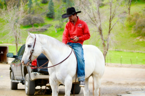 HorseID: 2308352 Apache LHR - PhotoID: 1092488