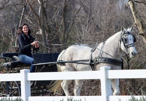 HorseID: 2308365 Gracie - PhotoID: 1092504