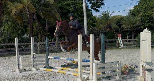 HorseID: 2308404 COWBOYS PREFER CHROME - PhotoID: 1092551