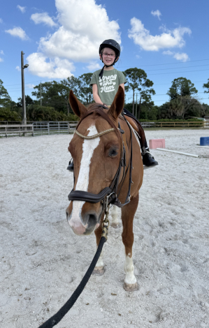 HorseID: 2308404 COWBOYS PREFER CHROME - PhotoID: 1092553