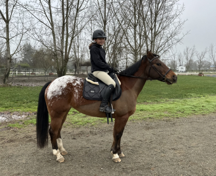 HorseID: 2308405 Tea Cup - PhotoID: 1092662