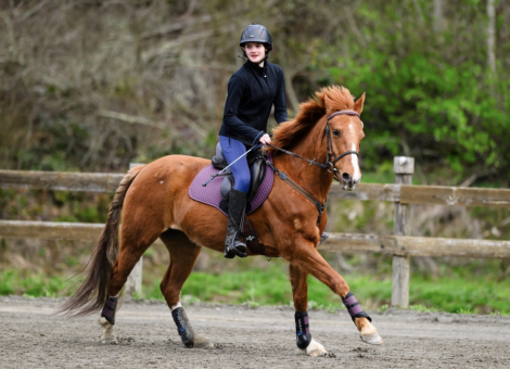 HorseID: 2308431 Rosie - PhotoID: 1092583