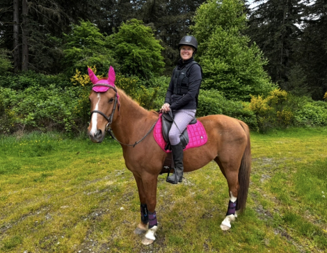 HorseID: 2308431 Rosie - PhotoID: 1092586