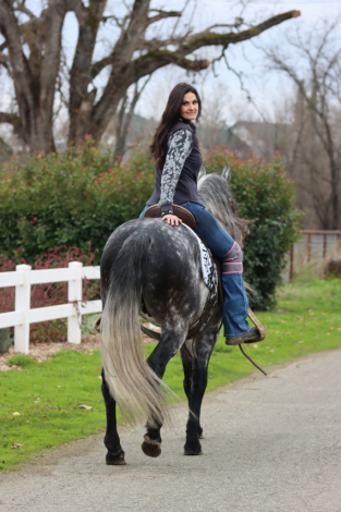 HorseID: 2308445 Toruk Makto - PhotoID: 1092597