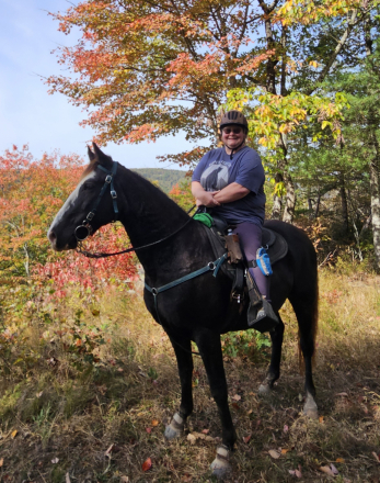 HorseID: 2308486 Captain Joe - PhotoID: 1092644