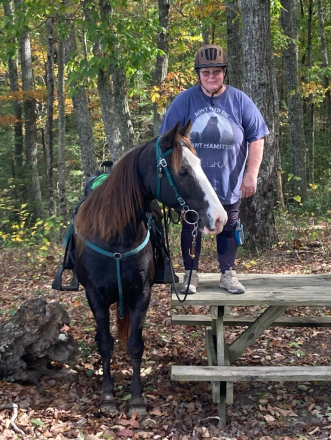 HorseID: 2308486 Captain Joe - PhotoID: 1092646