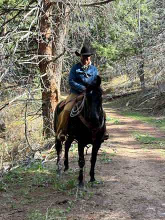 HorseID: 2308519 Bellarina Movino - PhotoID: 1092687