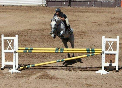HorseID: 2110556 Rapscallion - PhotoID: 1102106