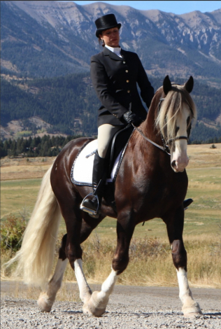 HorseID: 2126960 RDR Shirefox Revel - PhotoID: 1079120