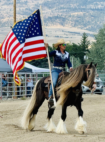 HorseID: 2126960 RDR Shirefox Revel - PhotoID: 1079121