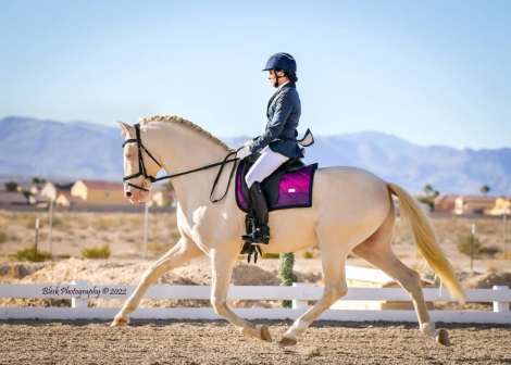 HorseID: 2192364 Feliz du Carel - PhotoID: 1080225