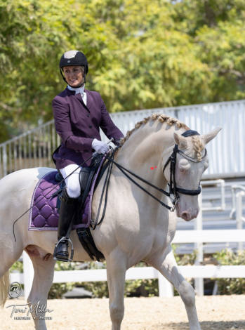 HorseID: 2192364 Feliz du Carel - PhotoID: 1080226