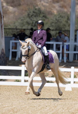 HorseID: 2192364 Feliz du Carel - PhotoID: 1080240