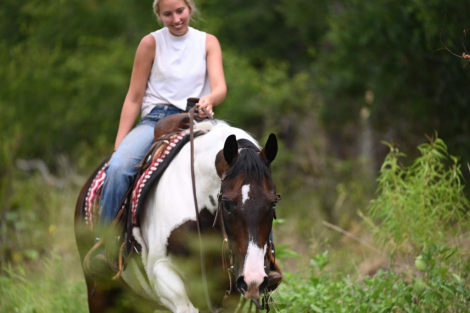 HorseID: 2246724 TWR SPOOKSGOTTA OREO - PhotoID: 1028752