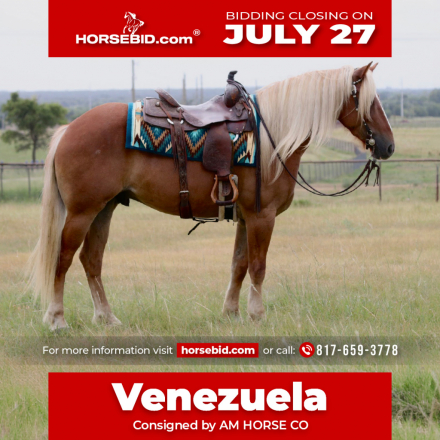 HorseID: 2246739 Venezuela - PhotoID: 1045904