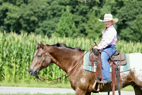 HorseID: 2247444 Hes Got Hot Wheels - PhotoID: 1045870