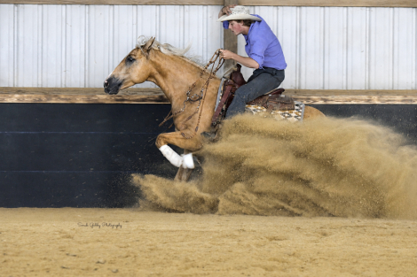 HorseID: 2247455 CQH TRR Boon - PhotoID: 1045891