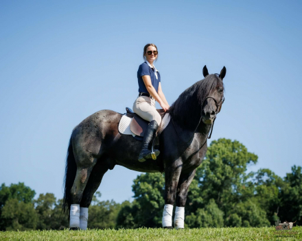HorseID: 2247456 Beaumont - PhotoID: 1045882