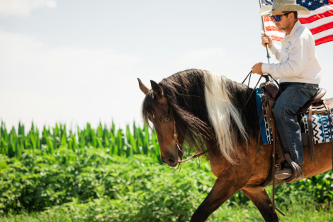 HorseID: 2247457 Jackson - PhotoID: 1063944