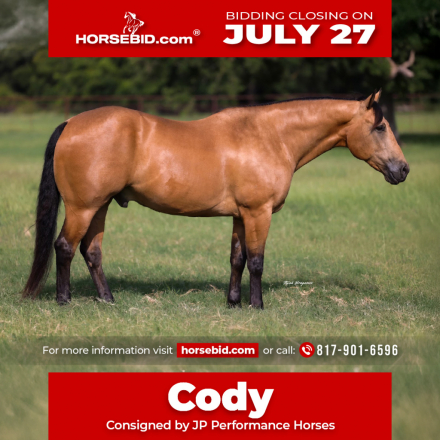 HorseID: 2249907 Pep’s lucky Buck - PhotoID: 1045908