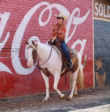HorseID: 2253893 TIZ HOLLYWOOD LEO NA - PhotoID: 1045917