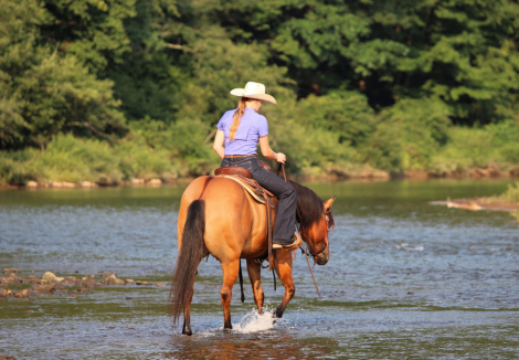 HorseID: 2253895 Modelo - PhotoID: 1045913