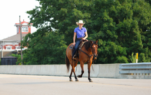 HorseID: 2253895 Modelo - PhotoID: 1045914