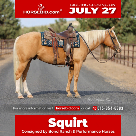 HorseID: 2262624 ERNEST A LITTLE - PhotoID: 1031019