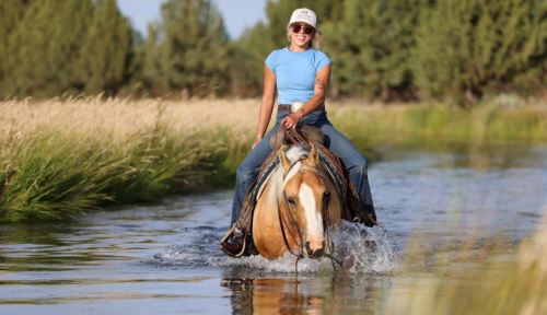 HorseID: 2262624 ERNEST A LITTLE - PhotoID: 1032129