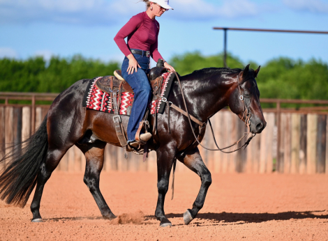 HorseID: 2265021 Bex - PhotoID: 1034262