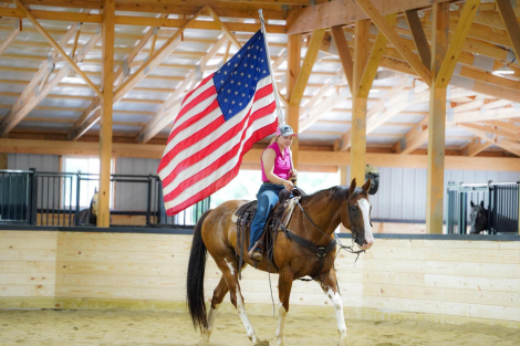 HorseID: 2280895 Boots - PhotoID: 1062981