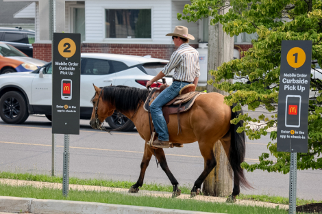 HorseID: 2280897 Concho - PhotoID: 1089901