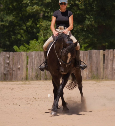 HorseID: 2280903 Broghans Black Knight - PhotoID: 1055698