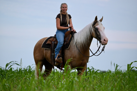 HorseID: 2280904 TR Partyinthehouse - PhotoID: 1055718