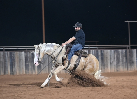 HorseID: 2280904 TR Partyinthehouse - PhotoID: 1055719