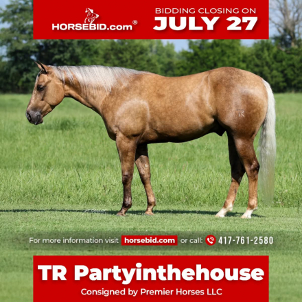 HorseID: 2280904 TR Partyinthehouse - PhotoID: 1055716