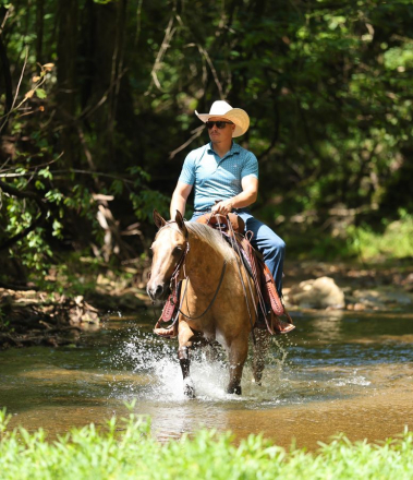 HorseID: 2280904 TR Partyinthehouse - PhotoID: 1055719