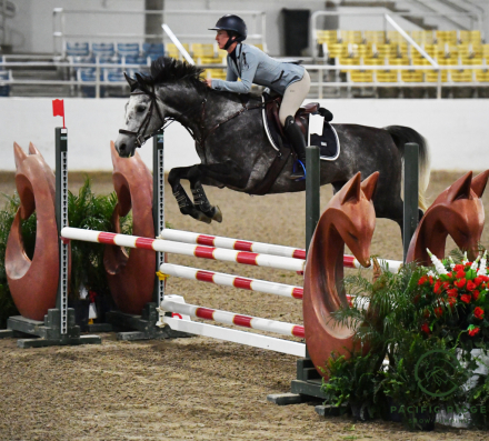HorseID: 2283022 Quaprice - PhotoID: 1102042