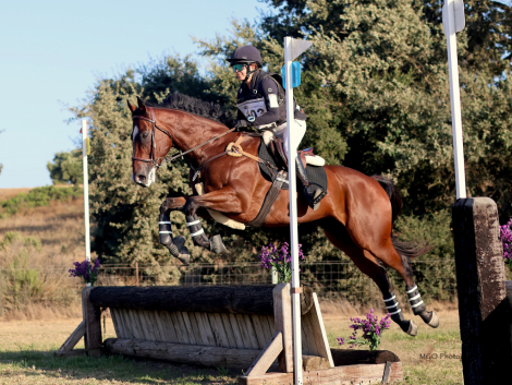 HorseID: 2283825 GOLDEN IMAGE - PhotoID: 1077066