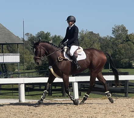 HorseID: 2283825 GOLDEN IMAGE - PhotoID: 1080714