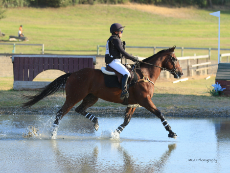 HorseID: 2283825 GOLDEN IMAGE - PhotoID: 1080715