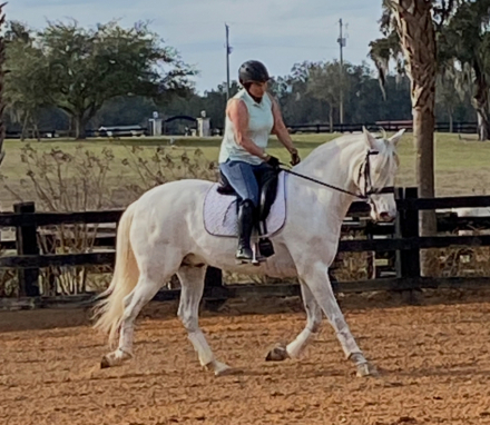 HorseID: 2284503 Irazu - PhotoID: 1070855