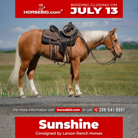 HorseID: 2287438 MV SMART PROM - PhotoID: 1064614