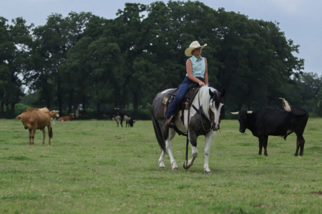 HorseID: 2287439 Cosmo - PhotoID: 1064621