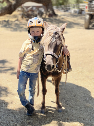 HorseID: 2289985 Smokey - PhotoID: 1079650