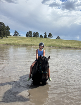 HorseID: 2292193 Pak N Heat - PhotoID: 1070878